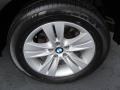 2006 Sterling Grey Metallic BMW X5 4.4i  photo #6