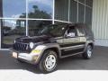 Black - Liberty Sport 4x4 Photo No. 3