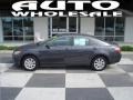 Magnetic Gray Metallic - Camry XLE Photo No. 1