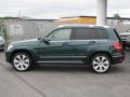 2010 Jade Green Metallic Mercedes-Benz GLK 350 4Matic  photo #3