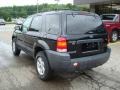 2006 Black Ford Escape XLT V6 4WD  photo #2