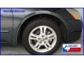 2006 Graphite Pearl Honda Accord EX-L Sedan  photo #9