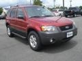 Redfire Metallic - Escape XLT Photo No. 7