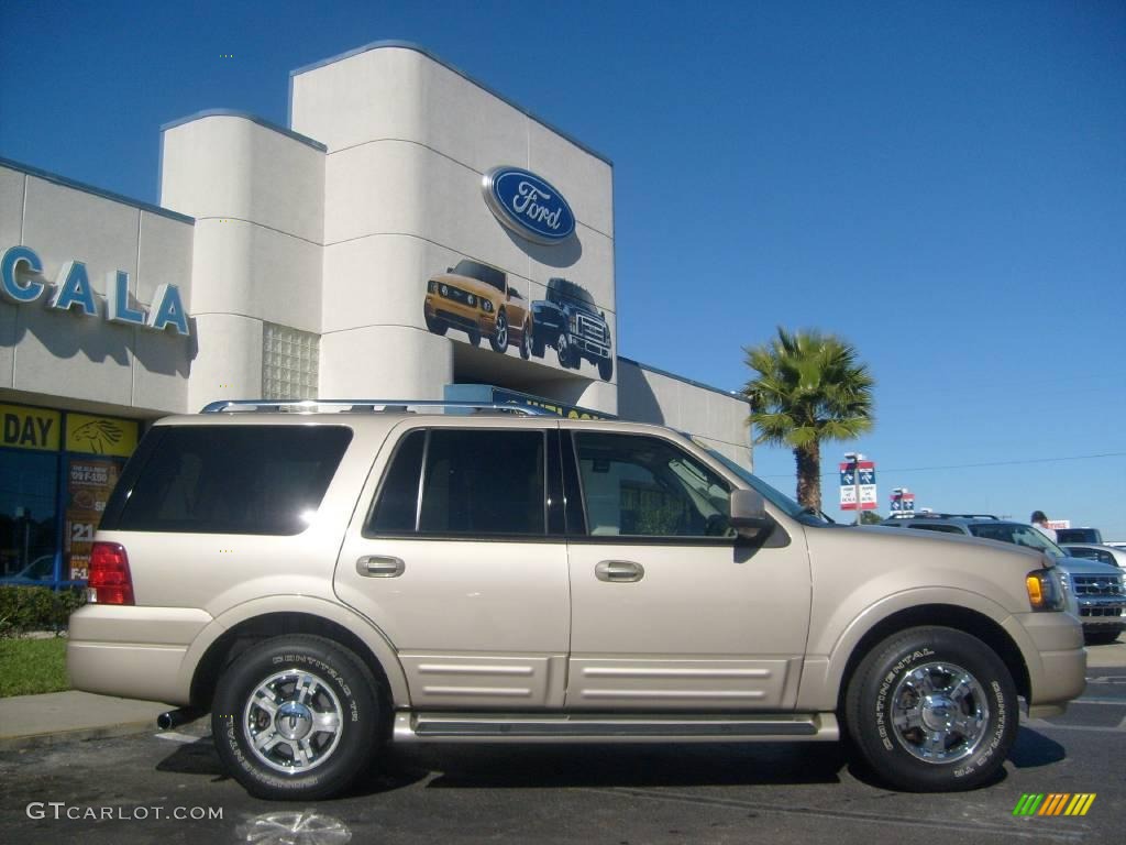 2005 Expedition Limited 4x4 - Pueblo Gold Metallic / Medium Parchment photo #2