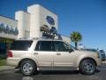 2005 Pueblo Gold Metallic Ford Expedition Limited 4x4  photo #2