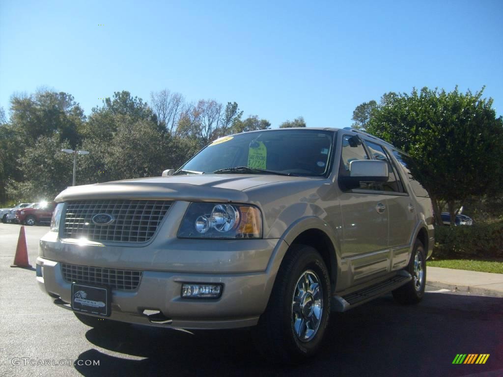 2005 Expedition Limited 4x4 - Pueblo Gold Metallic / Medium Parchment photo #7