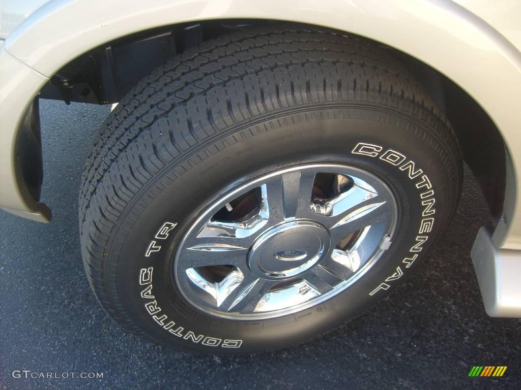 2005 Expedition Limited 4x4 - Pueblo Gold Metallic / Medium Parchment photo #12