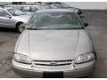 Pewter Metallic - Lumina LS Photo No. 2