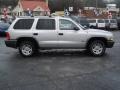 Bright Silver Metallic - Durango Sport Photo No. 5