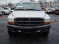 Bright Silver Metallic - Durango Sport Photo No. 7