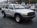 Bright Silver Metallic - Durango Sport Photo No. 8
