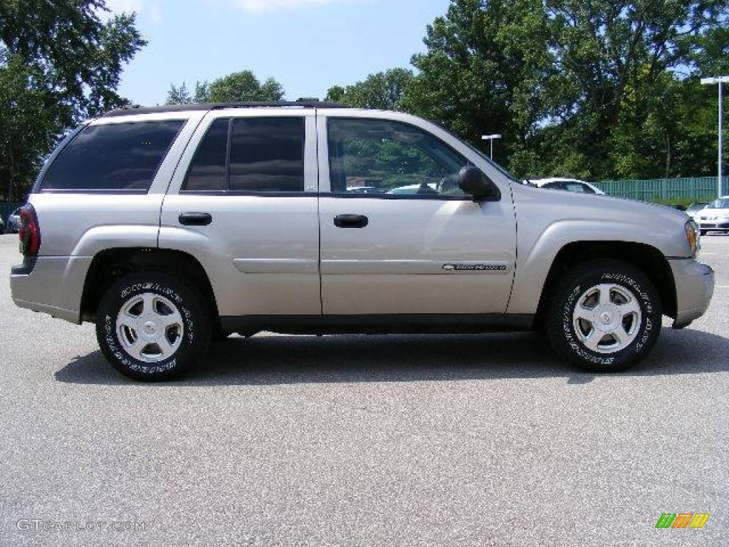 2002 TrailBlazer LT - Light Pewter Metallic / Dark Pewter photo #6