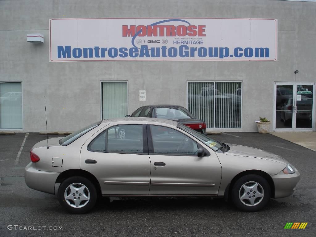 Sandrift Metallic Chevrolet Cavalier