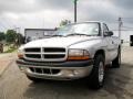 Bright Silver Metallic - Dakota Sport Regular Cab Photo No. 1