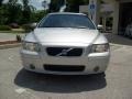 Silver Metallic - S60 2.5T Photo No. 8