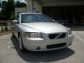 Silver Metallic - S60 2.5T Photo No. 9