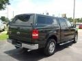 2005 Aspen Green Metallic Ford F150 XLT SuperCrew  photo #3