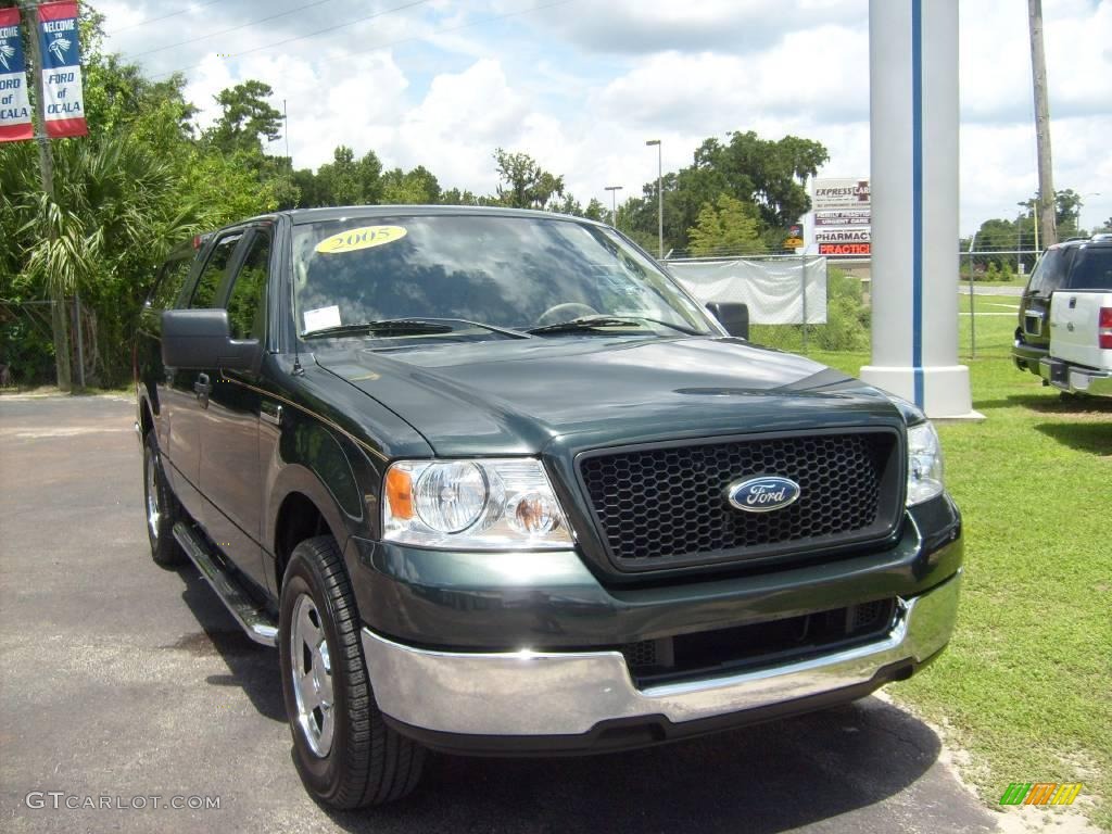 2005 F150 XLT SuperCrew - Aspen Green Metallic / Tan photo #9