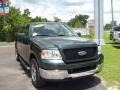 2005 Aspen Green Metallic Ford F150 XLT SuperCrew  photo #9