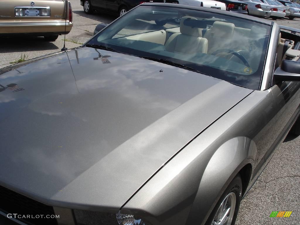 2005 Mustang V6 Premium Convertible - Mineral Grey Metallic / Medium Parchment photo #10