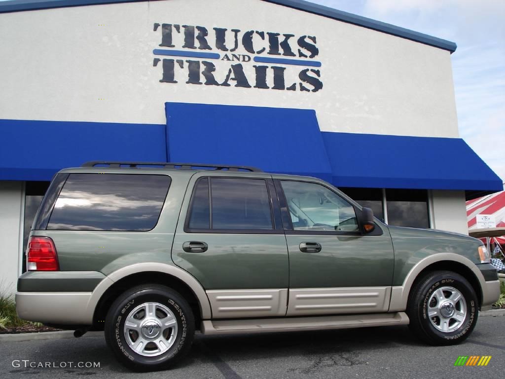 2005 Expedition Eddie Bauer - Estate Green Metallic / Medium Parchment photo #1