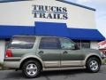 2005 Estate Green Metallic Ford Expedition Eddie Bauer  photo #1
