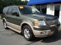 2005 Estate Green Metallic Ford Expedition Eddie Bauer  photo #3