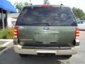 2005 Estate Green Metallic Ford Expedition Eddie Bauer  photo #5
