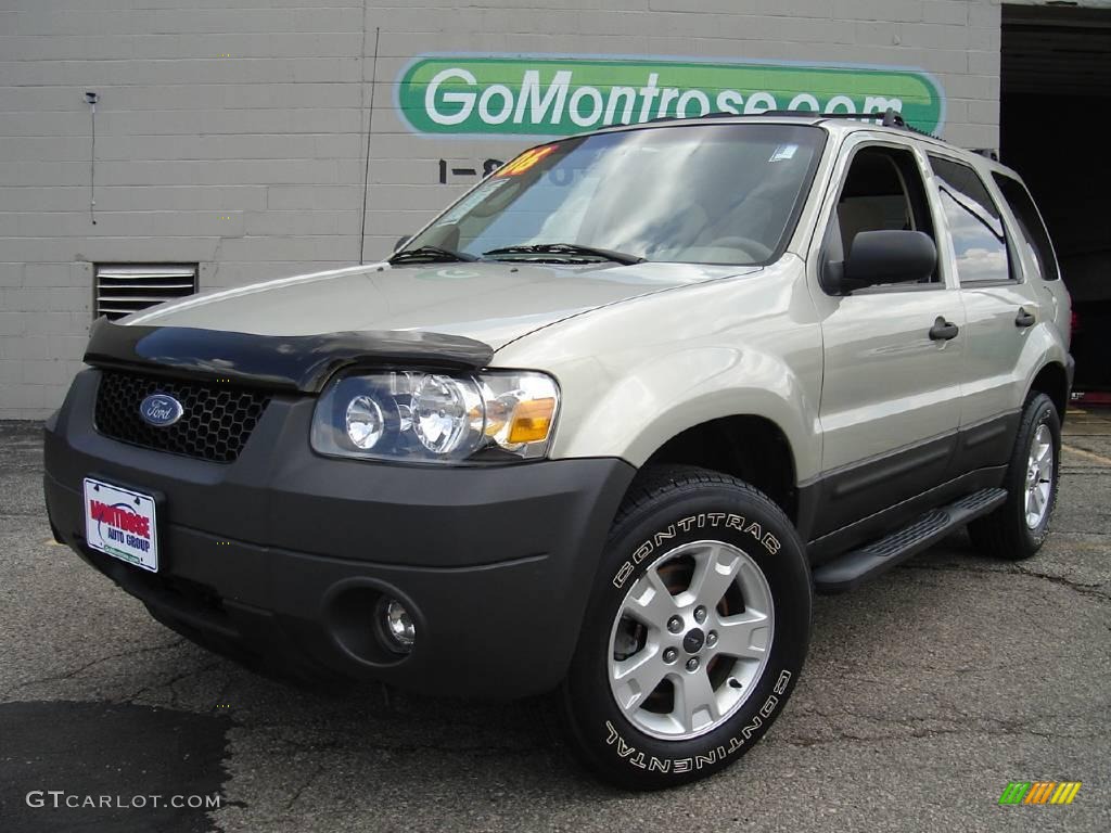 2006 Escape XLT V6 4WD - Gold Ash Metallic / Medium/Dark Pebble photo #1