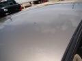 2004 Arizona Beige Metallic Ford Crown Victoria LX  photo #25