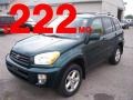 Rainforest Green Pearl - RAV4 4WD Photo No. 1