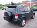 Rainforest Green Pearl - RAV4 4WD Photo No. 10