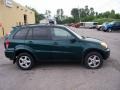 Rainforest Green Pearl - RAV4 4WD Photo No. 11