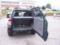 Rainforest Green Pearl - RAV4 4WD Photo No. 17