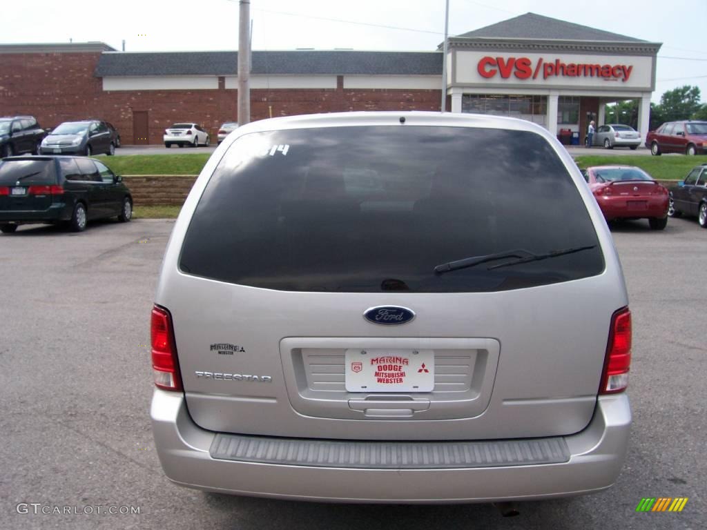 2004 Freestar S - Silver Birch Metallic / Flint Grey photo #9