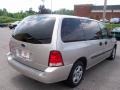 2004 Silver Birch Metallic Ford Freestar S  photo #10