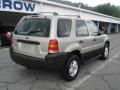 2006 Gold Ash Metallic Ford Escape XLS 4WD  photo #2