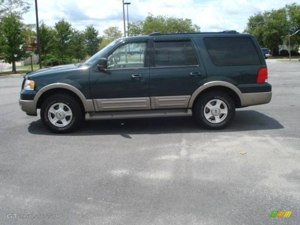 2003 Expedition Eddie Bauer - Aspen Green Metallic / Medium Parchment photo #2