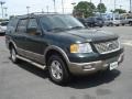 2003 Aspen Green Metallic Ford Expedition Eddie Bauer  photo #7