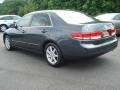 2004 Graphite Pearl Honda Accord EX V6 Sedan  photo #4