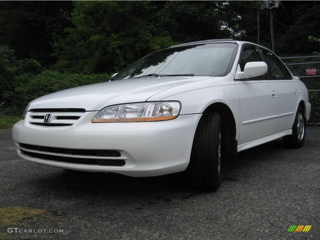 2002 Accord EX V6 Sedan - Taffeta White / Ivory photo #4