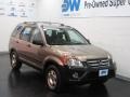 2006 Sahara Sand Metallic Honda CR-V LX 4WD  photo #1