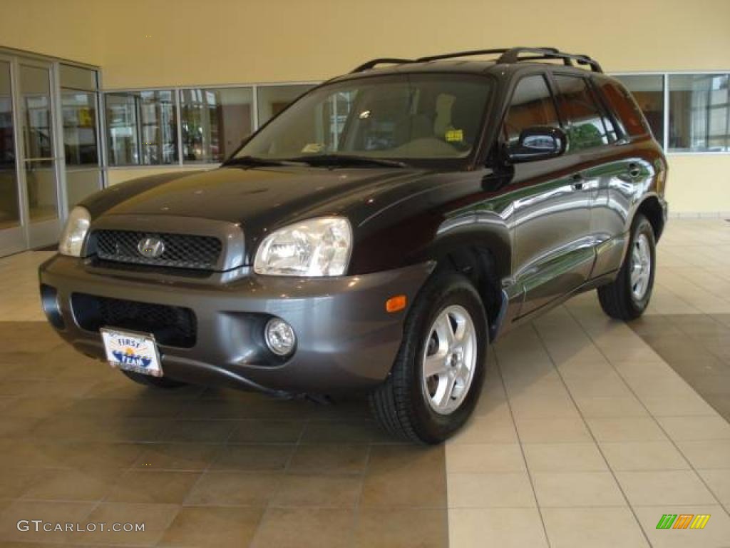 2004 Santa Fe GLS - Black Obsidian / Beige photo #1