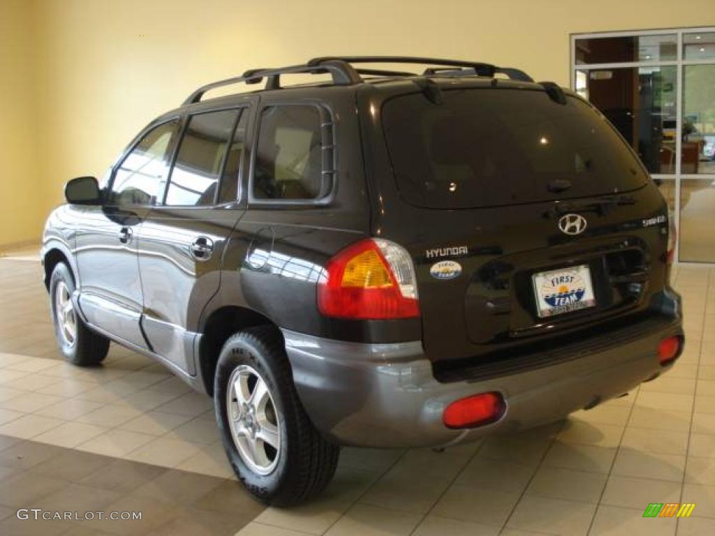 2004 Santa Fe GLS - Black Obsidian / Beige photo #3