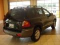 2004 Black Obsidian Hyundai Santa Fe GLS  photo #5