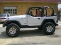 2002 Bright Silver Metallic Jeep Wrangler X 4x4  photo #1