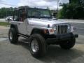 2002 Bright Silver Metallic Jeep Wrangler X 4x4  photo #3