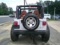 2002 Bright Silver Metallic Jeep Wrangler X 4x4  photo #6