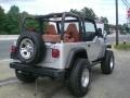 2002 Bright Silver Metallic Jeep Wrangler X 4x4  photo #7