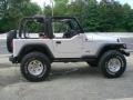 2002 Bright Silver Metallic Jeep Wrangler X 4x4  photo #8